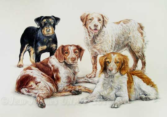 Tableau artistique de chiens pagnuels bretons.